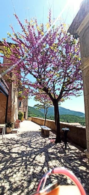 Relax Nell' Antico Borgo Vila Casperia Exterior foto